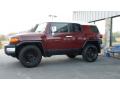 2011 FJ Cruiser 4WD #2