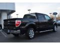 2013 F150 XLT SuperCrew #3 2013 F150 XLT SuperCrew #3