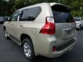 2013 GX 460 #2