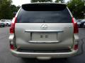 2013 GX 460 #3