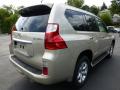 2013 GX 460 #4