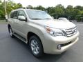 2013 GX 460 #6