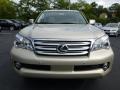 2013 GX 460 #7
