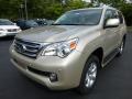 2013 GX 460 #8