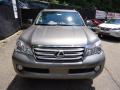 2012 GX 460 #6