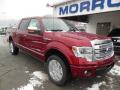 2013 F150 Platinum SuperCrew 4x4 #2