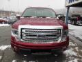 2013 F150 Platinum SuperCrew 4x4 #3