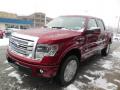 2013 F150 Platinum SuperCrew 4x4 #4