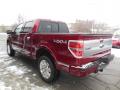 2013 F150 Platinum SuperCrew 4x4 #6