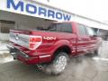 2013 F150 Platinum SuperCrew 4x4 #8