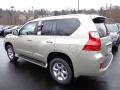 2013 GX 460 #2