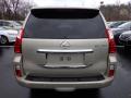 2013 GX 460 #3