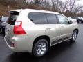 2013 GX 460 #4