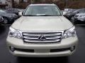 2013 GX 460 #7