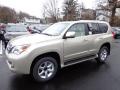 2013 GX 460 #8