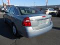 2007 Malibu LS Sedan #8