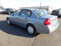 2007 Malibu LS Sedan #10