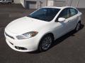 2013 Dart Limited #2