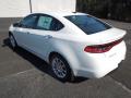 2013 Dart Limited #4