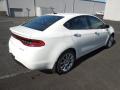 2013 Dart Limited #5