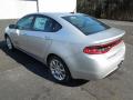 2013 Dart Limited #4