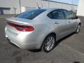 2013 Dart Limited #5