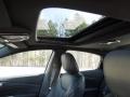 2013 Dart Limited #10