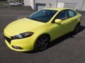 2013 Dart Rallye #2