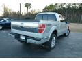 2011 F150 Platinum SuperCrew 4x4 #5