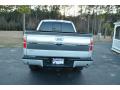 2011 F150 Platinum SuperCrew 4x4 #6
