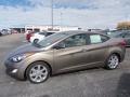2013 Elantra GLS #6