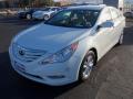 2013 Sonata GLS #2
