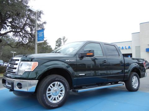 Green Gem Metallic Ford F150 Lariat SuperCrew 4x4. Click to enlarge. Green Gem Metallic Ford F150 Lariat SuperCrew 4x4. Click to enlarge.