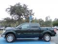 2013 F150 Lariat SuperCrew 4x4 #2 2013 F150 Lariat SuperCrew 4x4 #2