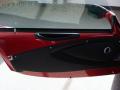 Door Panel of 2008 Lotus Exige S #8