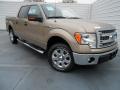 2013 F150 XLT SuperCrew #1