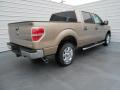 2013 F150 XLT SuperCrew #3