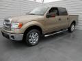2013 F150 XLT SuperCrew #8