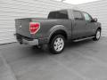 2013 F150 Lariat SuperCrew #3
