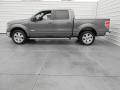  2013 Ford F150 Sterling Gray Metallic #6