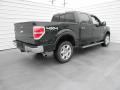 2013 F150 Lariat SuperCrew 4x4 #3