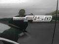  2013 Ford F150 Logo #12