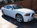 Front 3/4 View of 2013 Dodge Charger R/T Plus #2