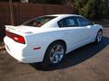 2013 Charger R/T Plus #3