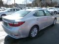 2013 ES 300h Hybrid #4