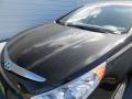 2012 Sonata Hybrid #12 2012 Sonata Hybrid #12