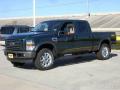 2009 F250 Super Duty Cabelas Edition Crew Cab 4x4 #5