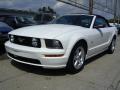 2009 Mustang GT Premium Convertible #1 2009 Mustang GT Premium Convertible #1