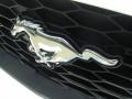 2009 Mustang GT Premium Convertible #2 2009 Mustang GT Premium Convertible #2