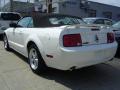2009 Mustang GT Premium Convertible #6 2009 Mustang GT Premium Convertible #6